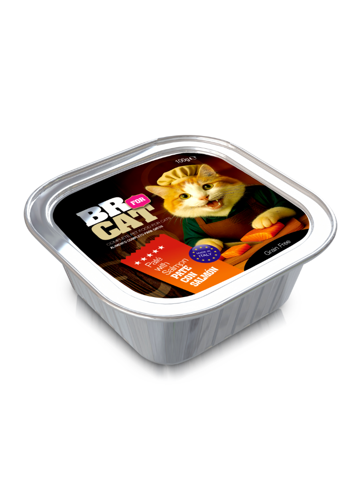 BR FOR CAT PATE CON SALMON X 100 GRS.