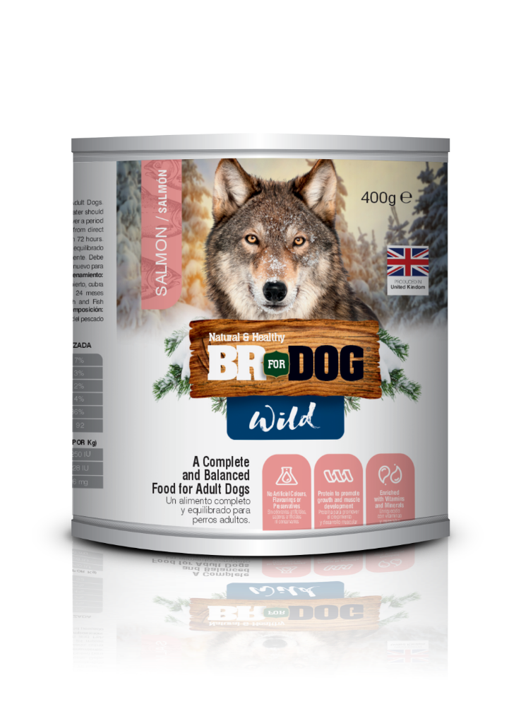 BR WILD LATA PERRO SALMON X 400 GRS