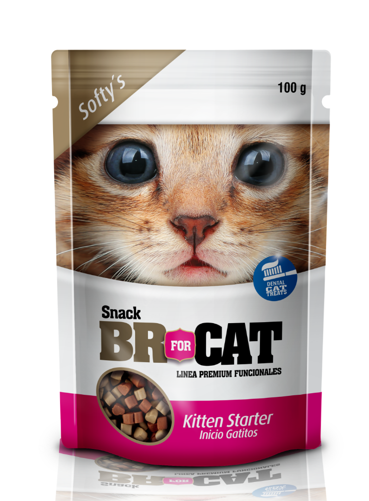 BR FOR CAT SNACK GATITOS X 100 GRS.