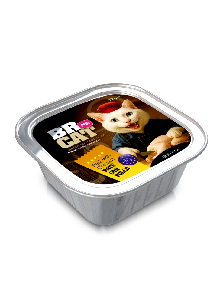 BR FOR CAT PATE CON POLLO X 100 GRS