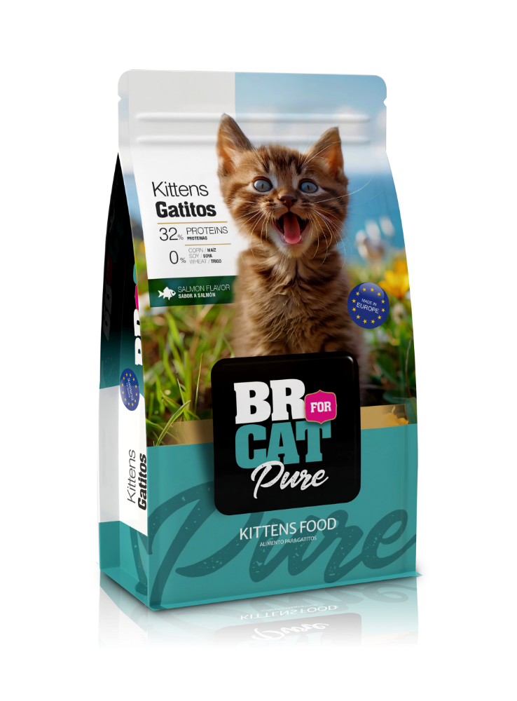 BR FOR CAT PURE GATITO SALMON X 1 KILO.