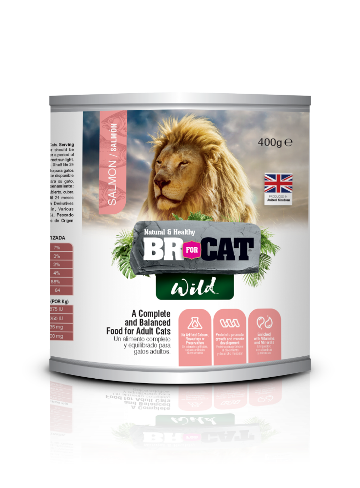 BR WILD LATA GATO SALMON X 400 GRS.