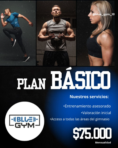 Plan Básico Blue Gym