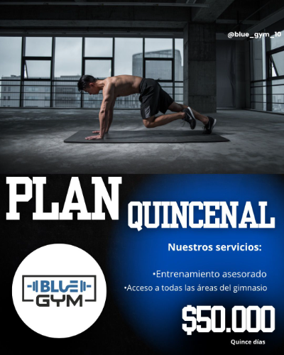 Plan Quincenal