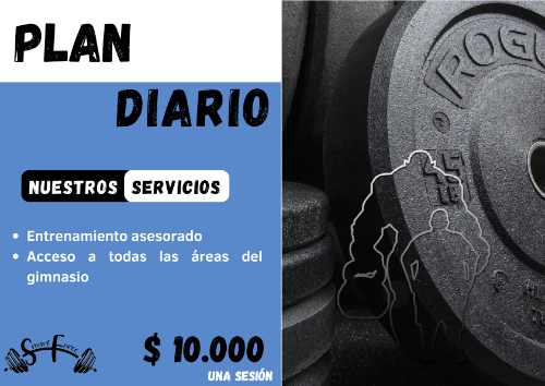 Plan Diario Smart Force