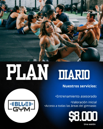 Plan diario Blue Gym
