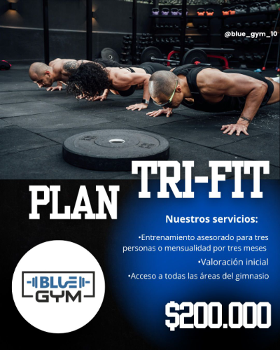 Plan Tri - Fit Blue Gym