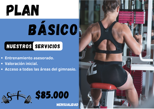 Plan Básico Smart Force