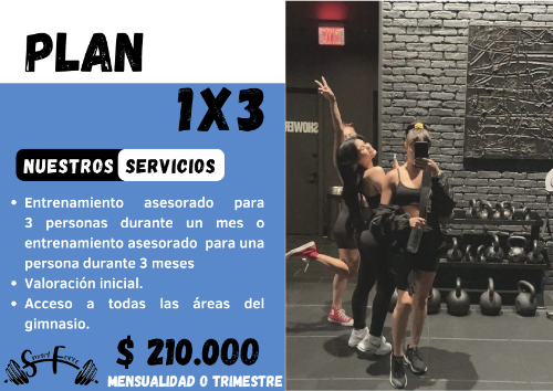 Plan 1 x 3 Smart Force