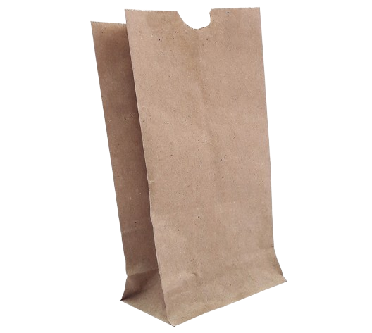 BOLSA DE PAPEL N2