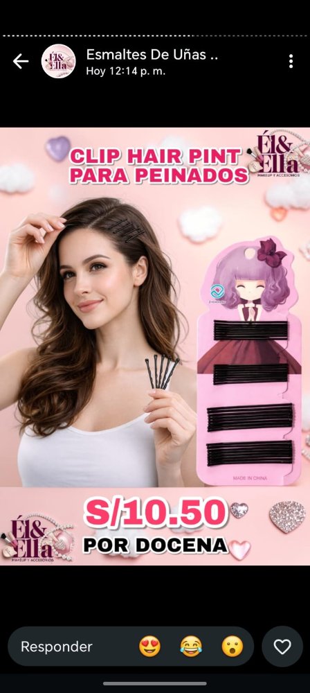 CLIP HAIR PINT PARA PEINADOS