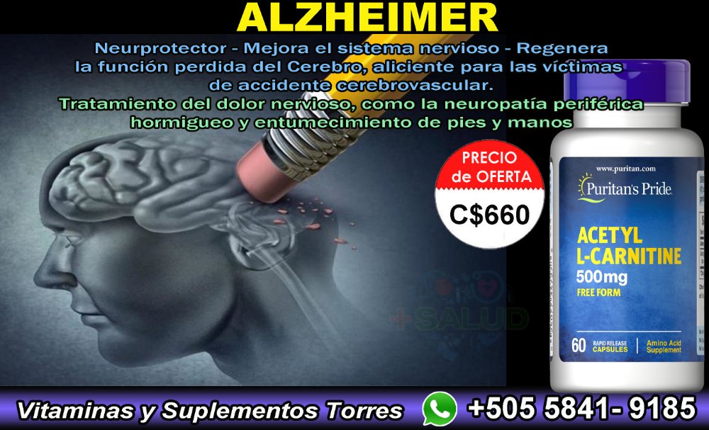 Acetyl L - Carnitine 500mg 60 Cápsulas