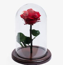 Rosa reservada pequeña