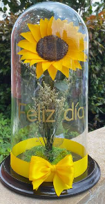 Girasol preservado