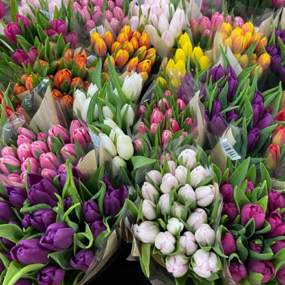 TULIPANES *10 Und