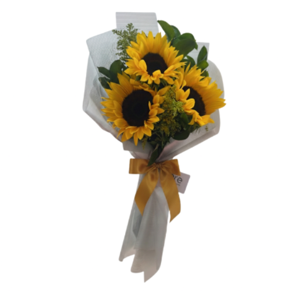 Girasoles *3