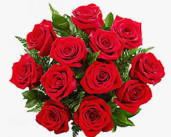 Paq de Rosas *12