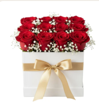 BONDADOSA: Caja de 12 rosas con gibsophilia
