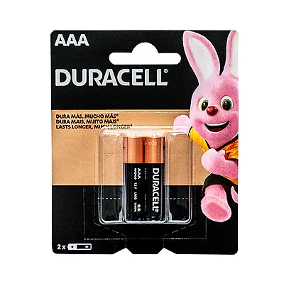 Duracell Pilas Alcalinas AAA2