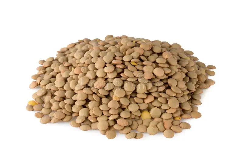 000019 Lentejas 1lb