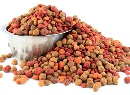 000000PM Comida de Perro Adulto 3lb