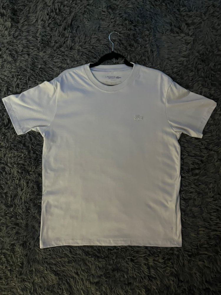 LACOSTE BASICA CINZA