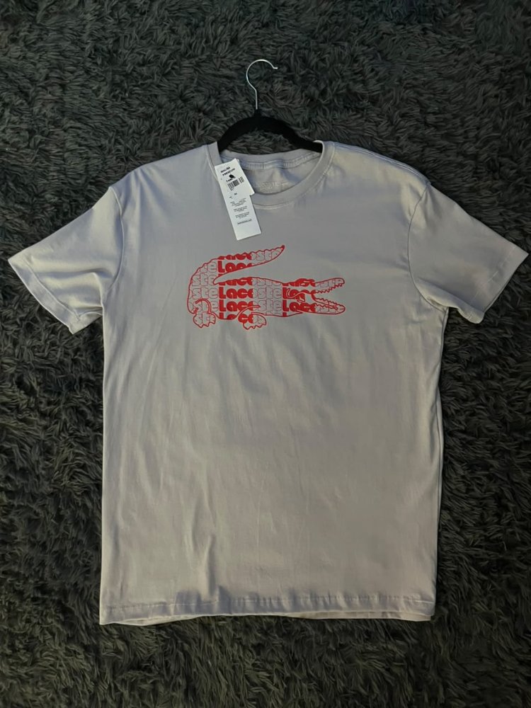 LACOSTE CINZA
