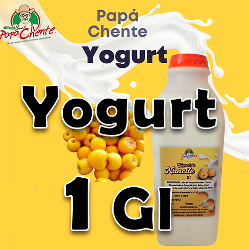 Yogurt 1 Gln Pch