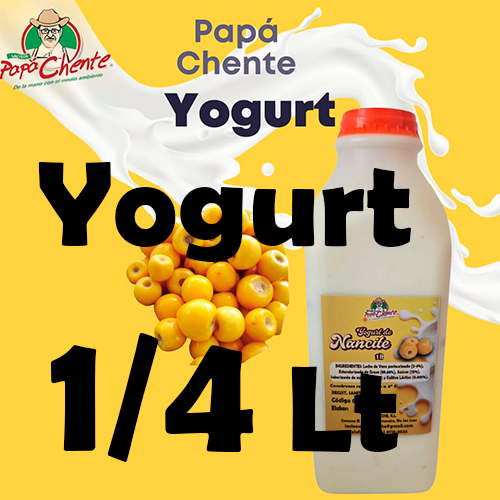 Yogurt 1/4 Lt Pch