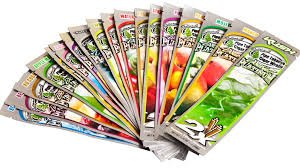 BLUNT VAINILLA