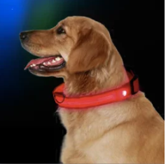 Collar con luz LED rojo