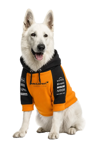 Hoodie F1 - McLaren 2025