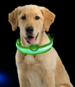 Collar con luz LED Verde