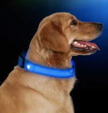 Collar con luz LED azul