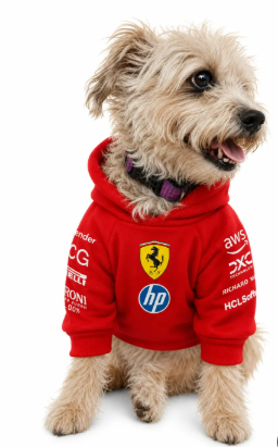Hoodie F1 - Perrari 2025