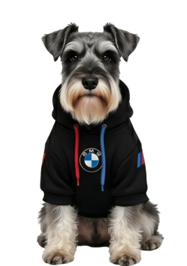 Hoodie BMW Negro