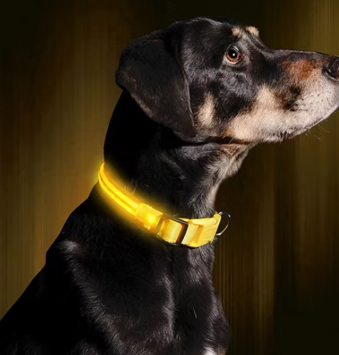 Collar con luz LED Amarillo
