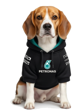 Hoodie F1 - Mercedes