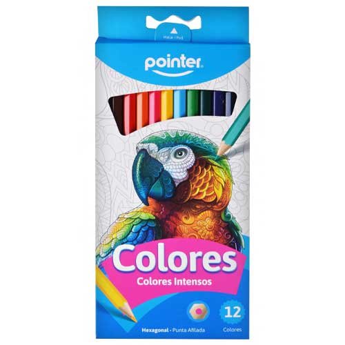 Pointer Colores intensos 12