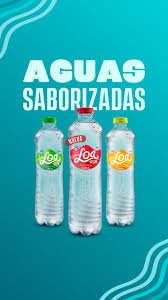 LOA CHICO SABORIZADA SURTIDO