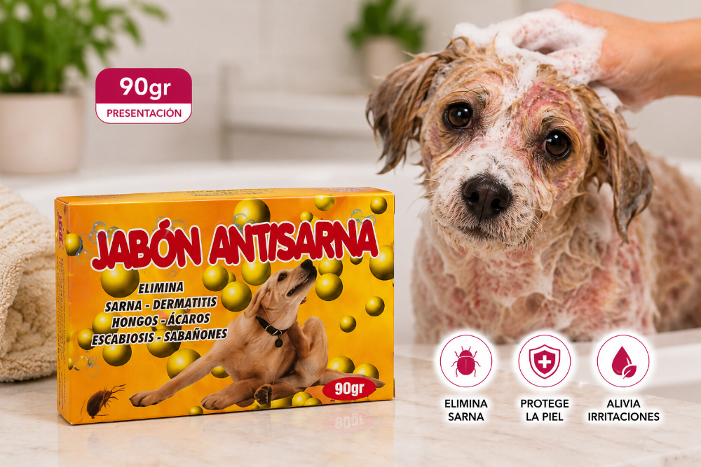 Jabón Antisarna