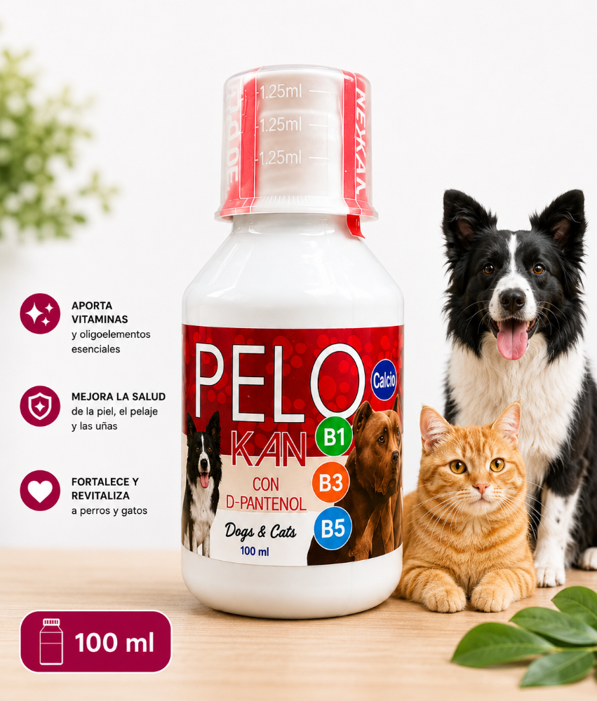 Pelokan