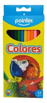 COLOR CUERPO REDONDO POINTER X12