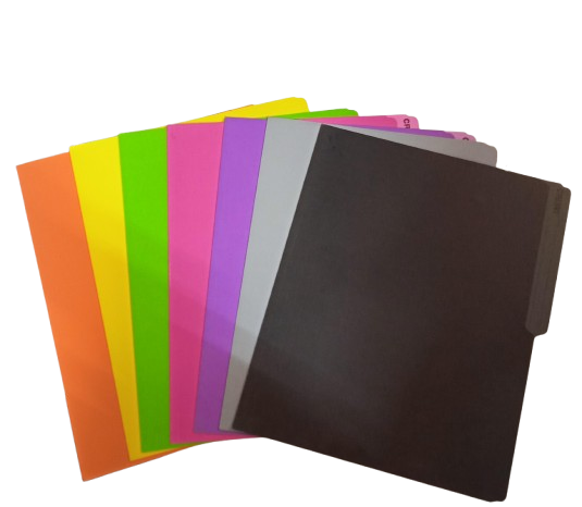 CARPETAS TAMAÑO CARTA COLORES SURTIDOS MARCA CRISVI