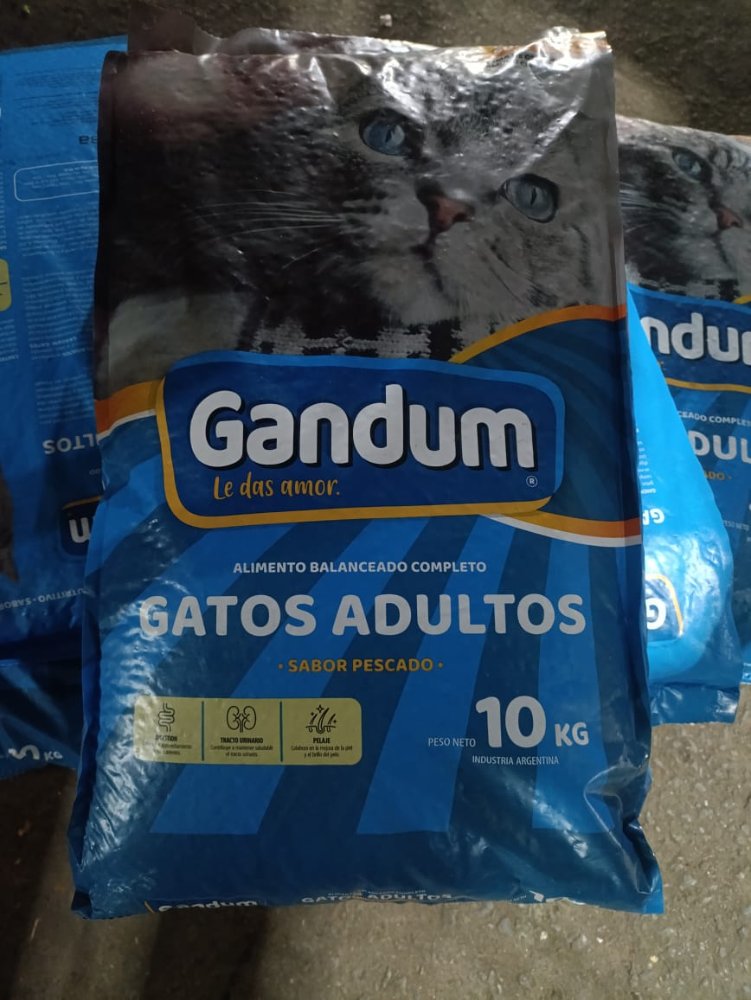 Gandum de gato 10KG