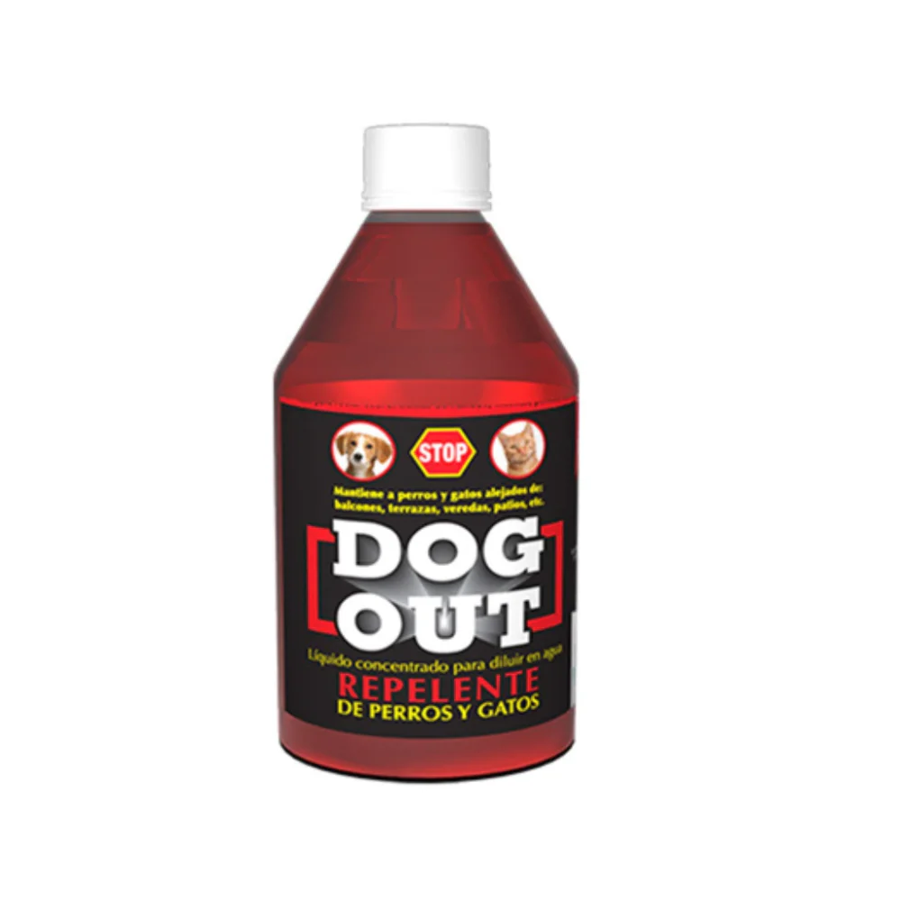 Dog out