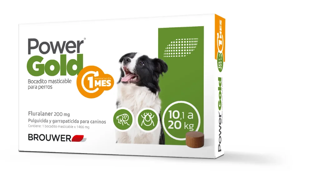 Power gold de 10 a 20KG