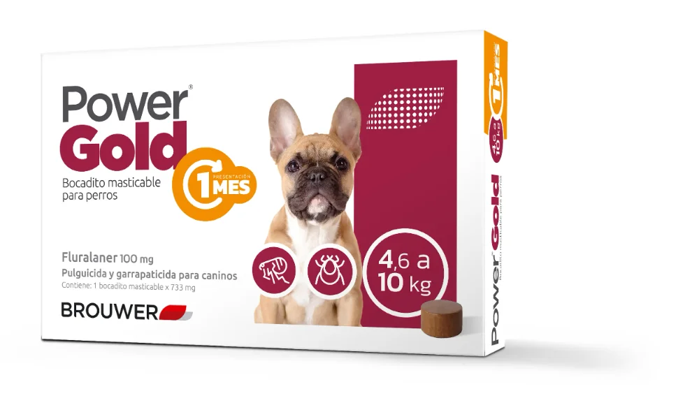 Power gold de 5 a 10KG