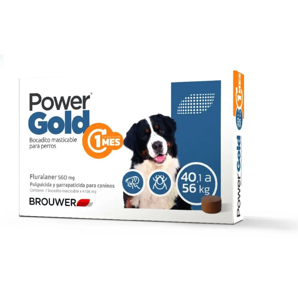 Power gold de 40 a 56KG