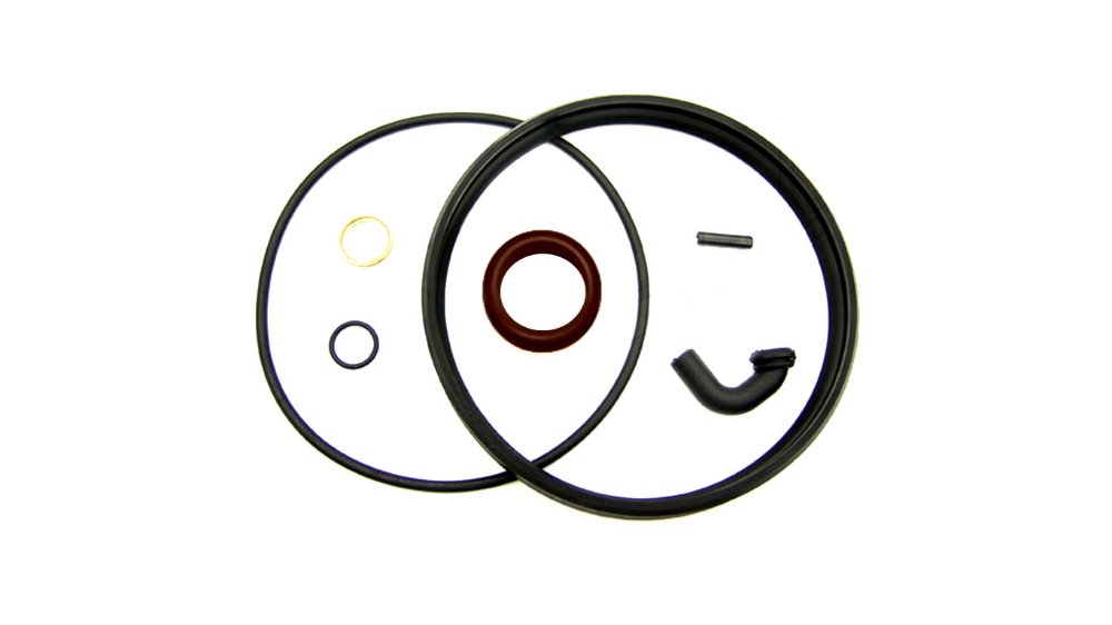 REPARO DE PULMON 24X24